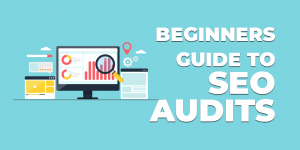 beginners guide to seo audits